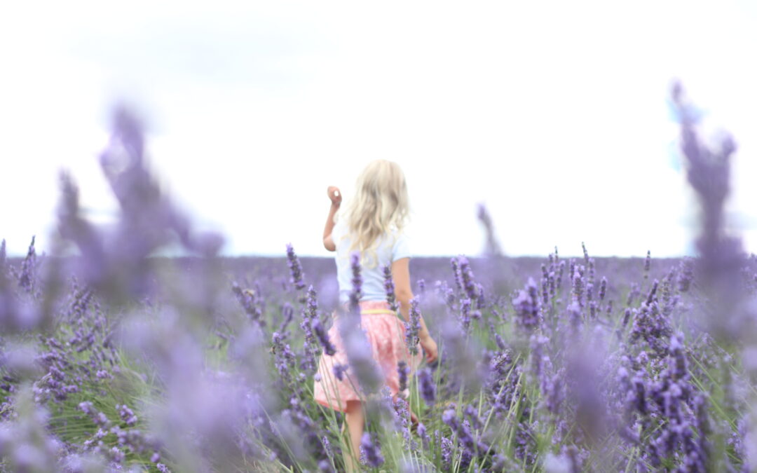 Lavender